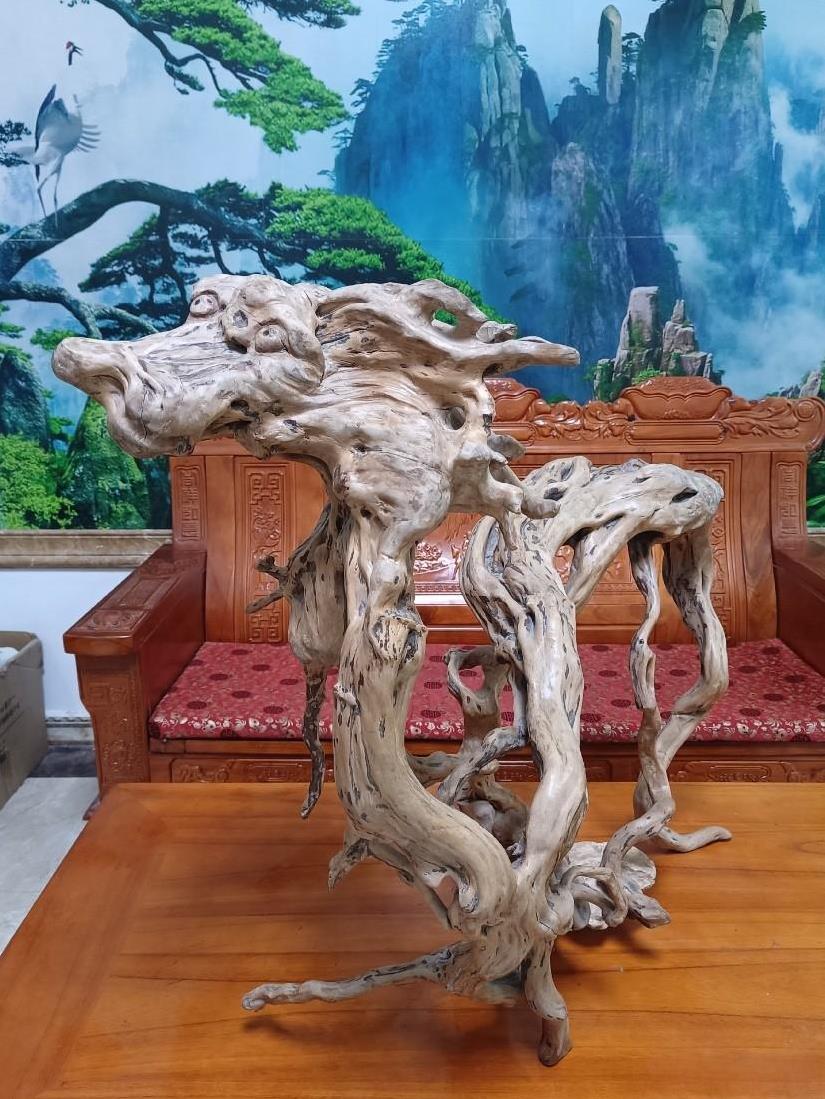 我爸在古玩城地摊，2000块钱买的树根，我爸说这是原生态的树根，没有经过雕琢，我