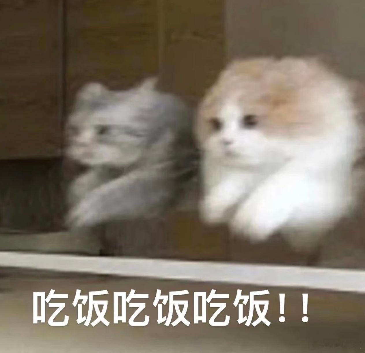 饭点了🕖！晚上吃什么你？