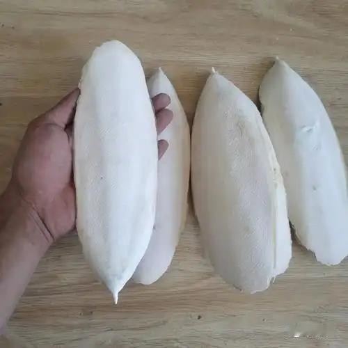 浅论乌贼骨之妙用海螵蛸又叫乌贼骨，说到乌贼大家都知道，它藏在海底，遇到有天敌