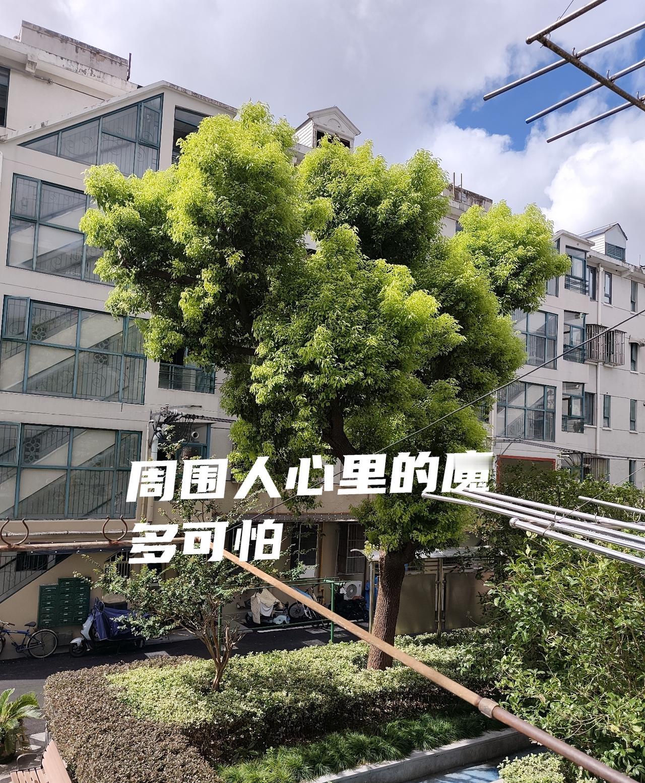 活着的希望在哪里？有A友说，现在可怕的不是这个病本身，而是确诊以后，周围人包括