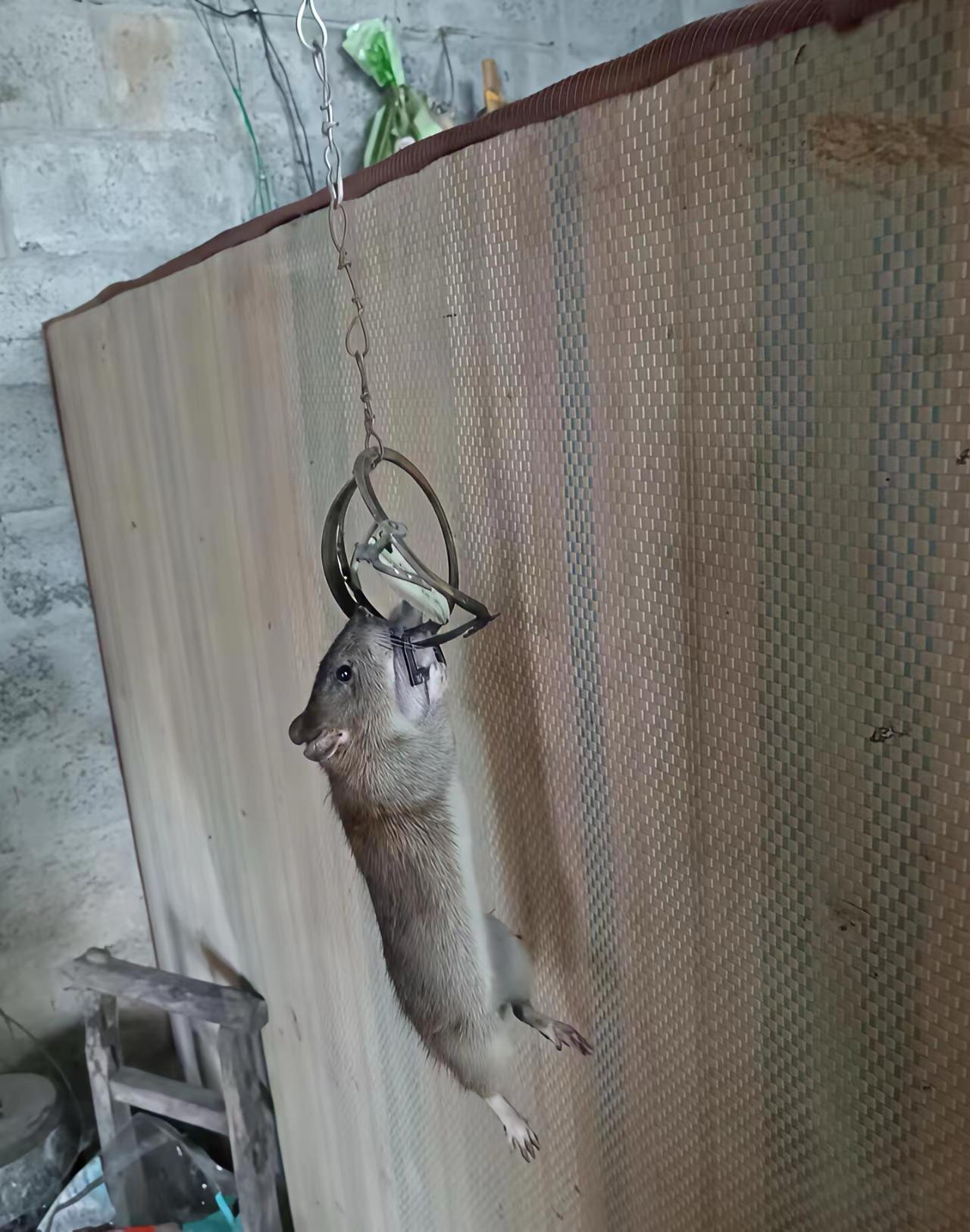 这活命的感觉真的太奇妙了