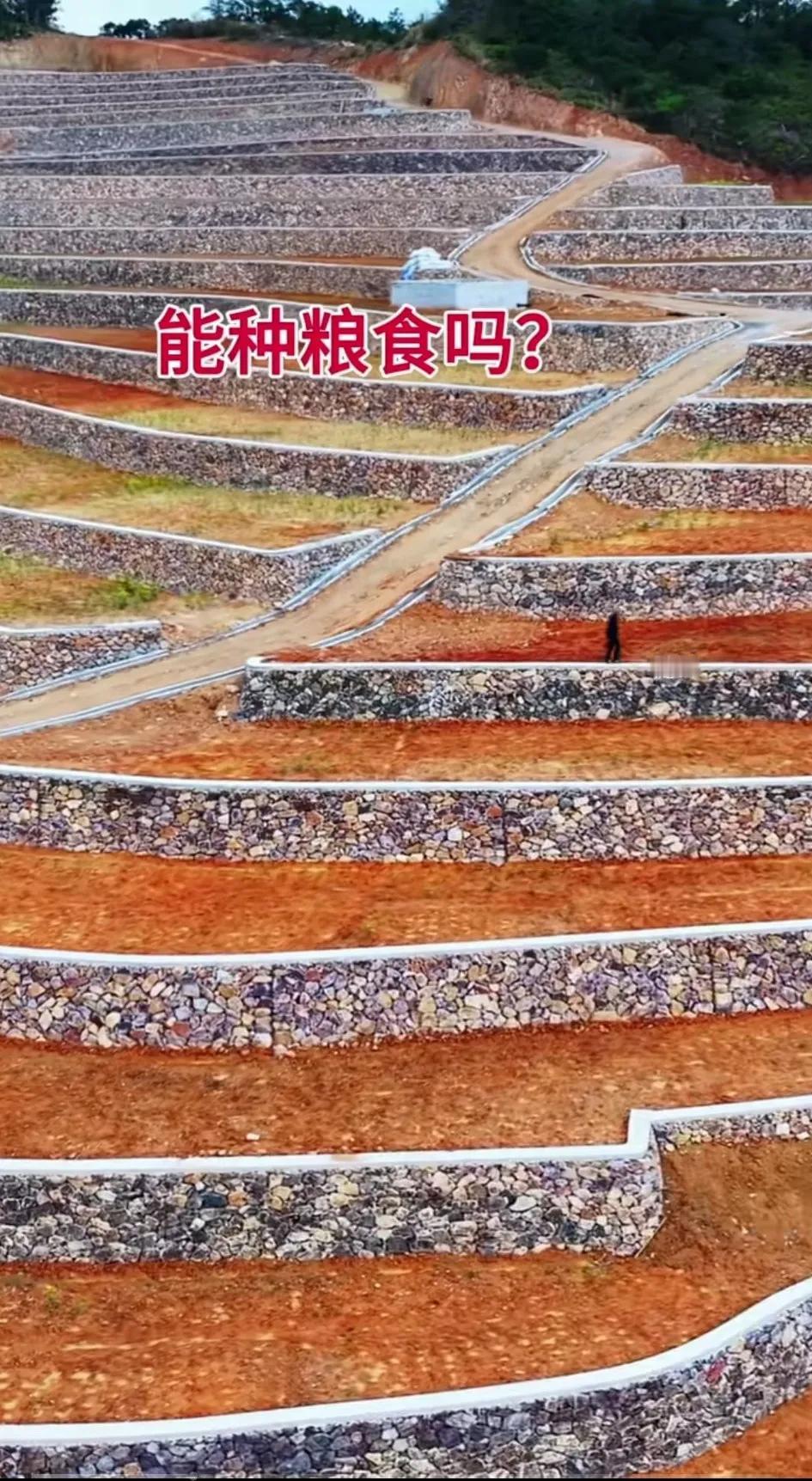 亲戚家是山区的，基本农田很少。前几年有个专家说水稻可以在山上种，这不他们那里政府