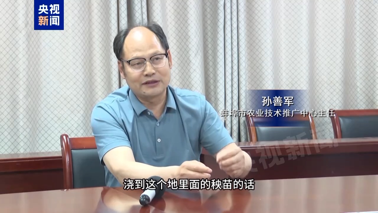 上万亩水稻为何无水可种? 安徽蚌埠秧苗成批死亡真相