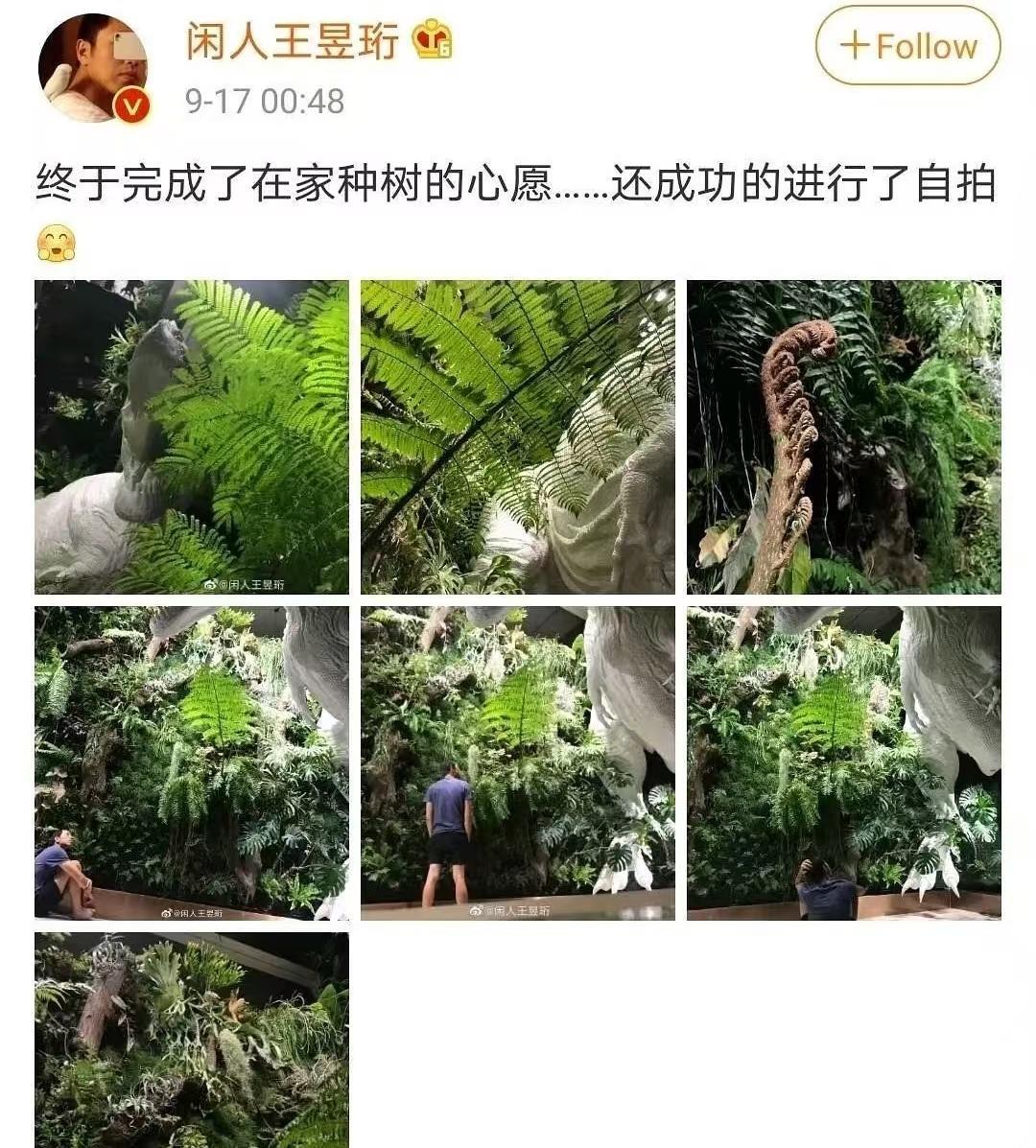 喜马拉雅山烟花秀去参观的人不少除了被邀请的户外爱好者们还有引人注目的水哥王昱