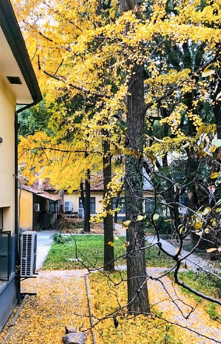 昨天我在小区花园里散步时，遇到小区里的李姐，她问我身边有没有认识的女孩子，让我给