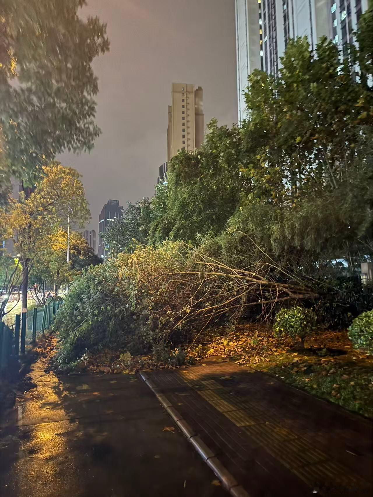 现在办个事情是真的难。工作原因要置办个移动的卡，然后找淘宝买了张卡，反复强调要移