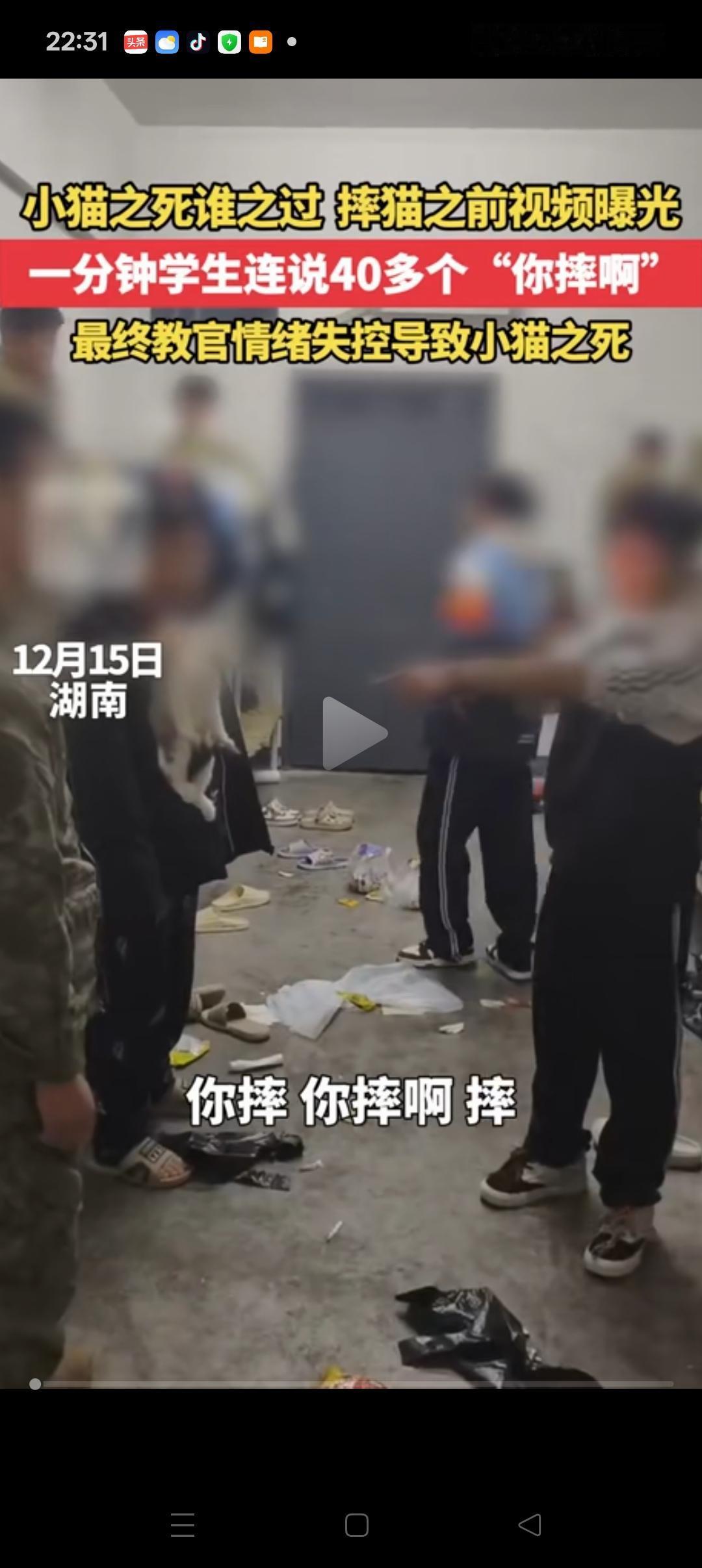 真相来了！看到宿管摔猫的完整视频，原来坏的人不止男宿管，还有那个一直嚷嚷着“你摔