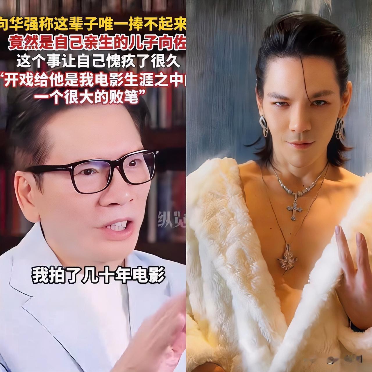 总算知道向家为啥败了你看向华强为了捧他儿子，前前后后砸了多少钱进去啊！在