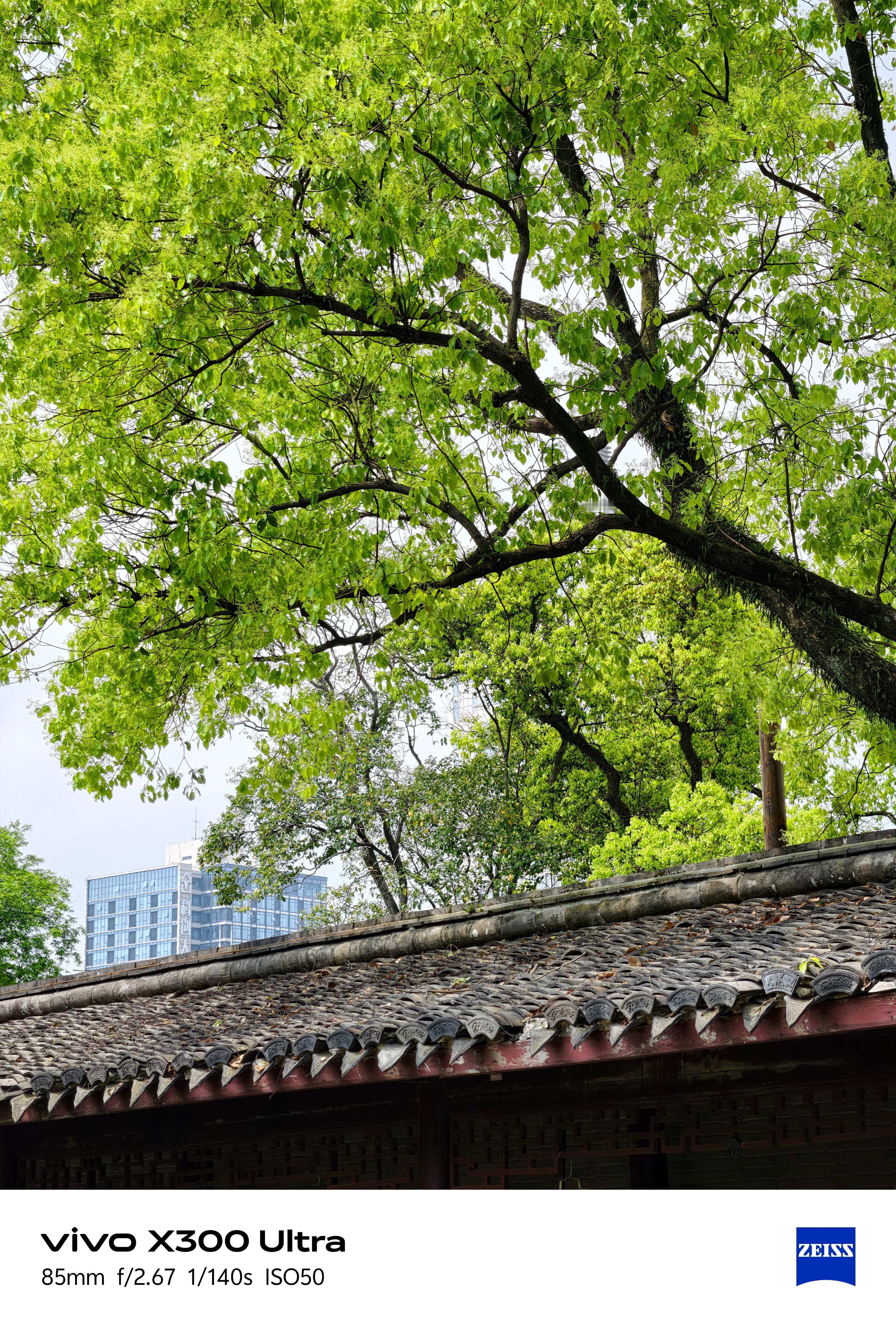 宁波天一阁月湖太休闲惬意了逛了一个上午