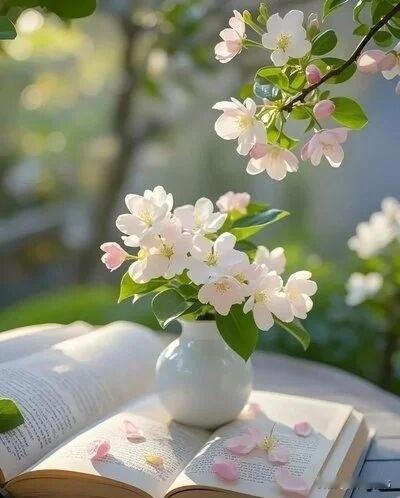 把孩子教得没规矩，是父母最大的失败孩子从来都是父母的镜子，你什么样，孩子就