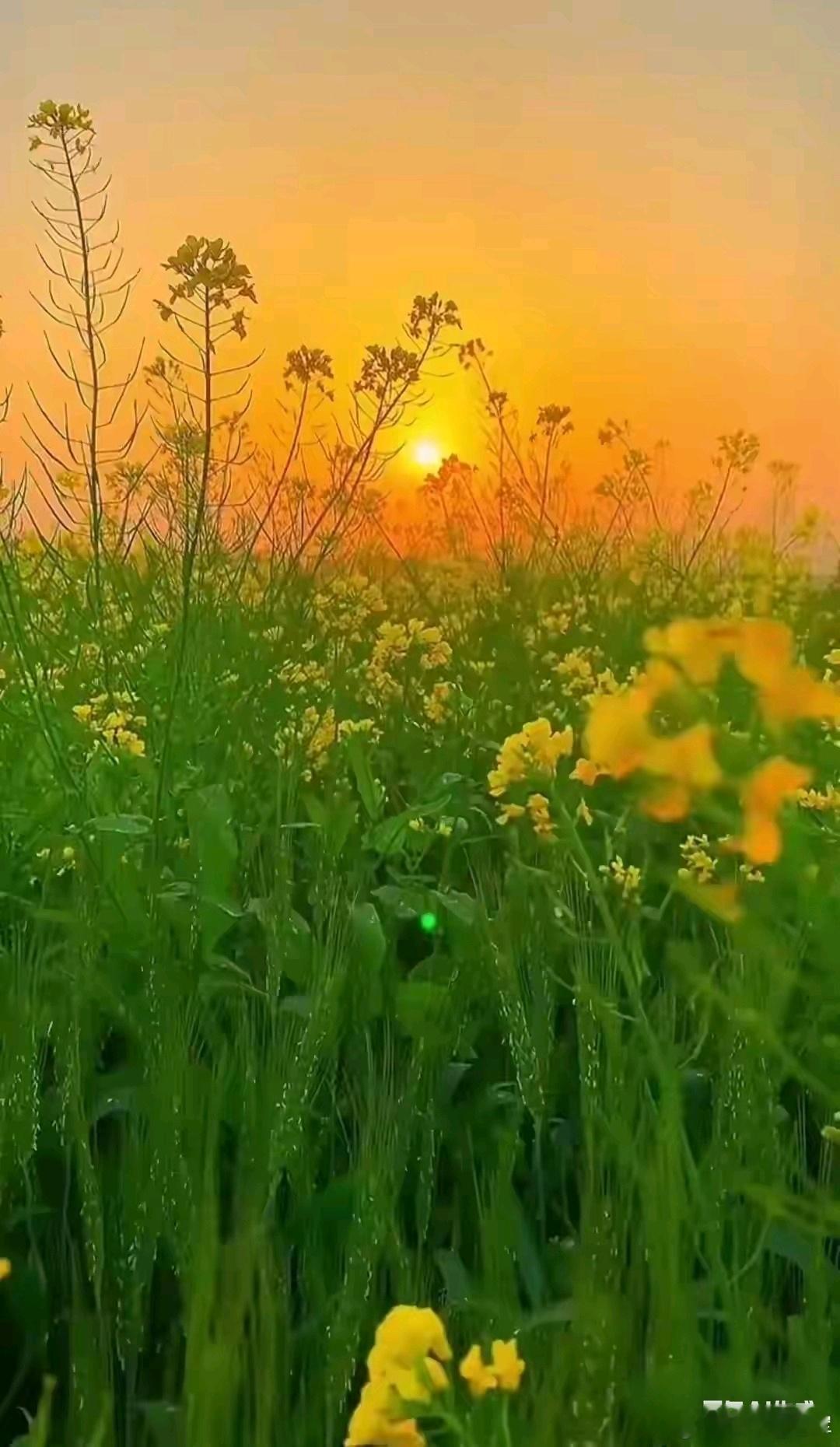 《黄帝内经》告诉我，使用中药的原理，核心就是一场精妙的“火候管理”。用“壮火”之