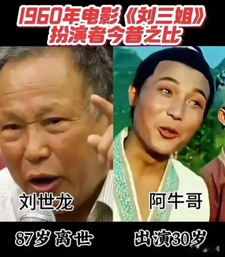 她走了，她的歌却在00后手机里活了。你可能想不到，去年还有1.2亿人为“刘