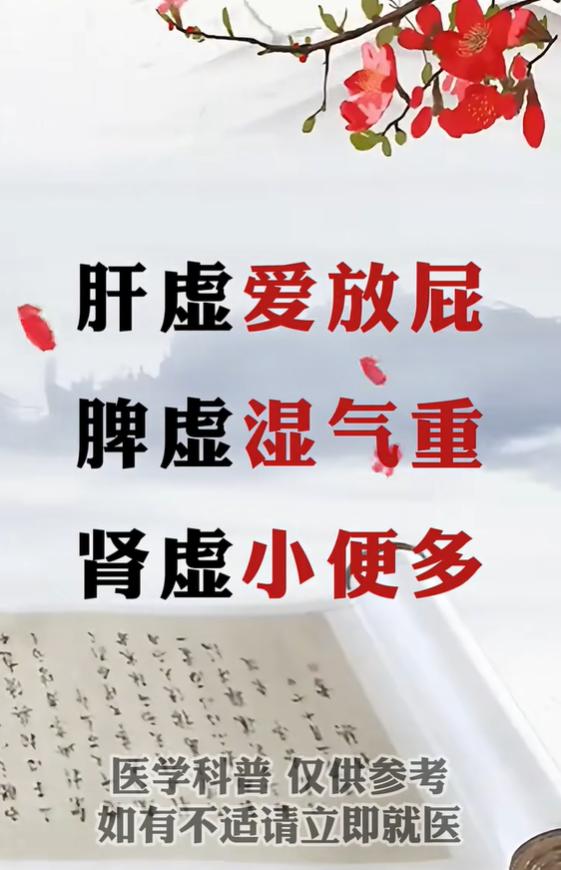 排气多湿气重夜尿多？分清脏腑再调理