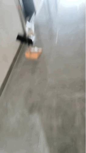 外卖小哥每次给这女的送外卖，到门口都要屏住呼吸，也不敢张嘴说话，紧跑两步走远了才