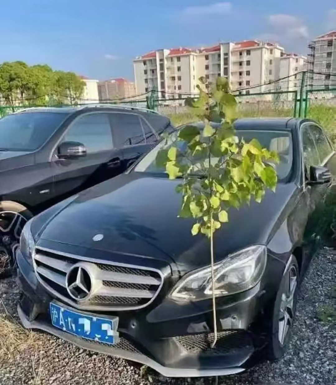 真正的强者，从不抱怨环境～​​​