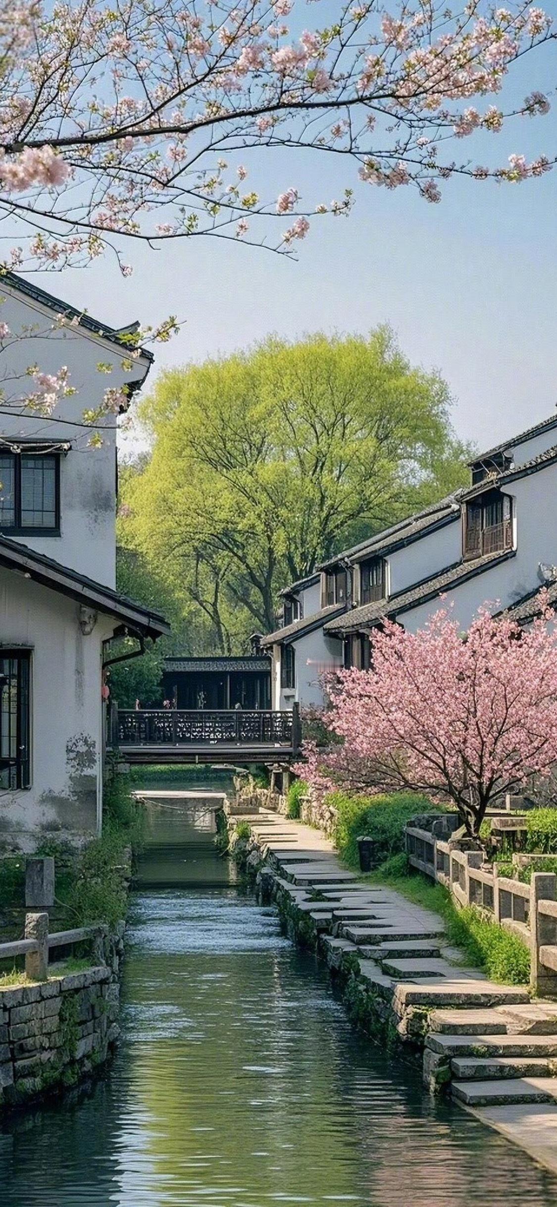 壁纸漂亮的新鲜壁纸