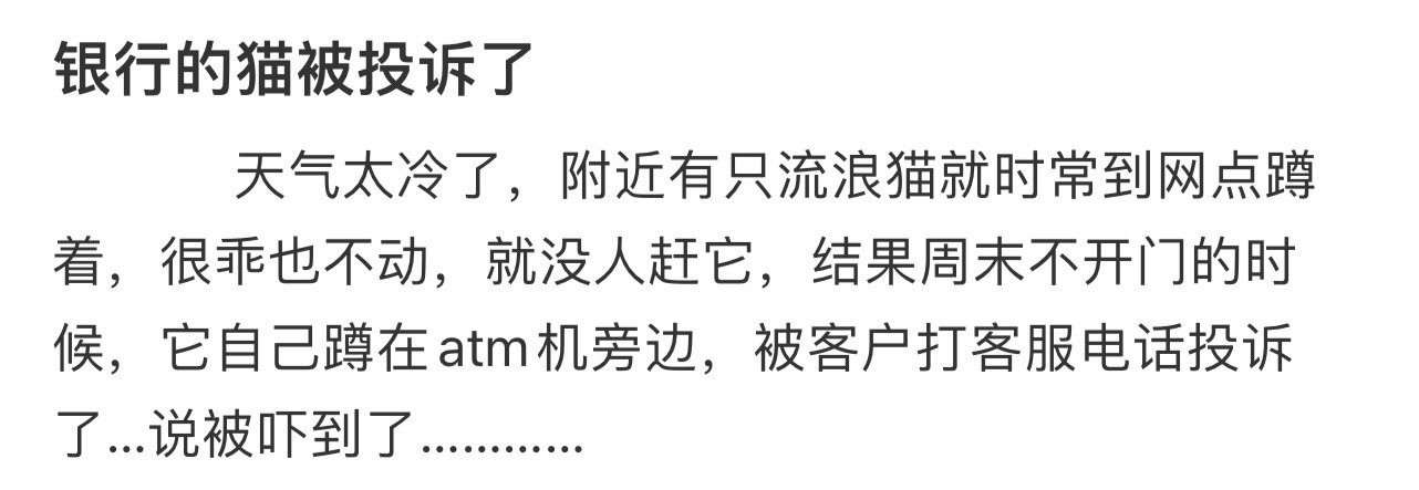 银行的猫被投诉了！！！