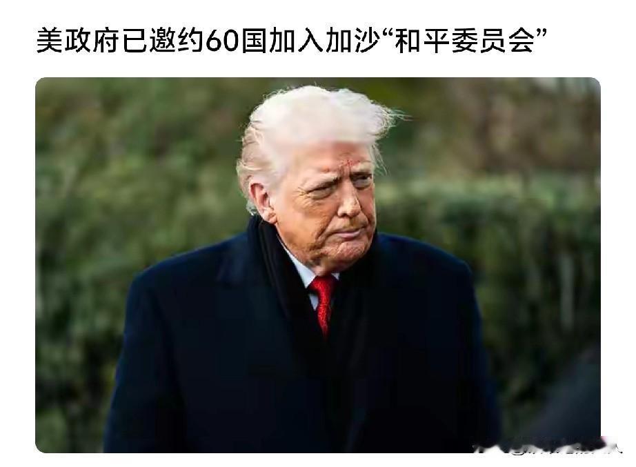 一点也不傻，特朗普政府已邀约60国加入加沙和平委员会，每个国家交10亿美元的话就