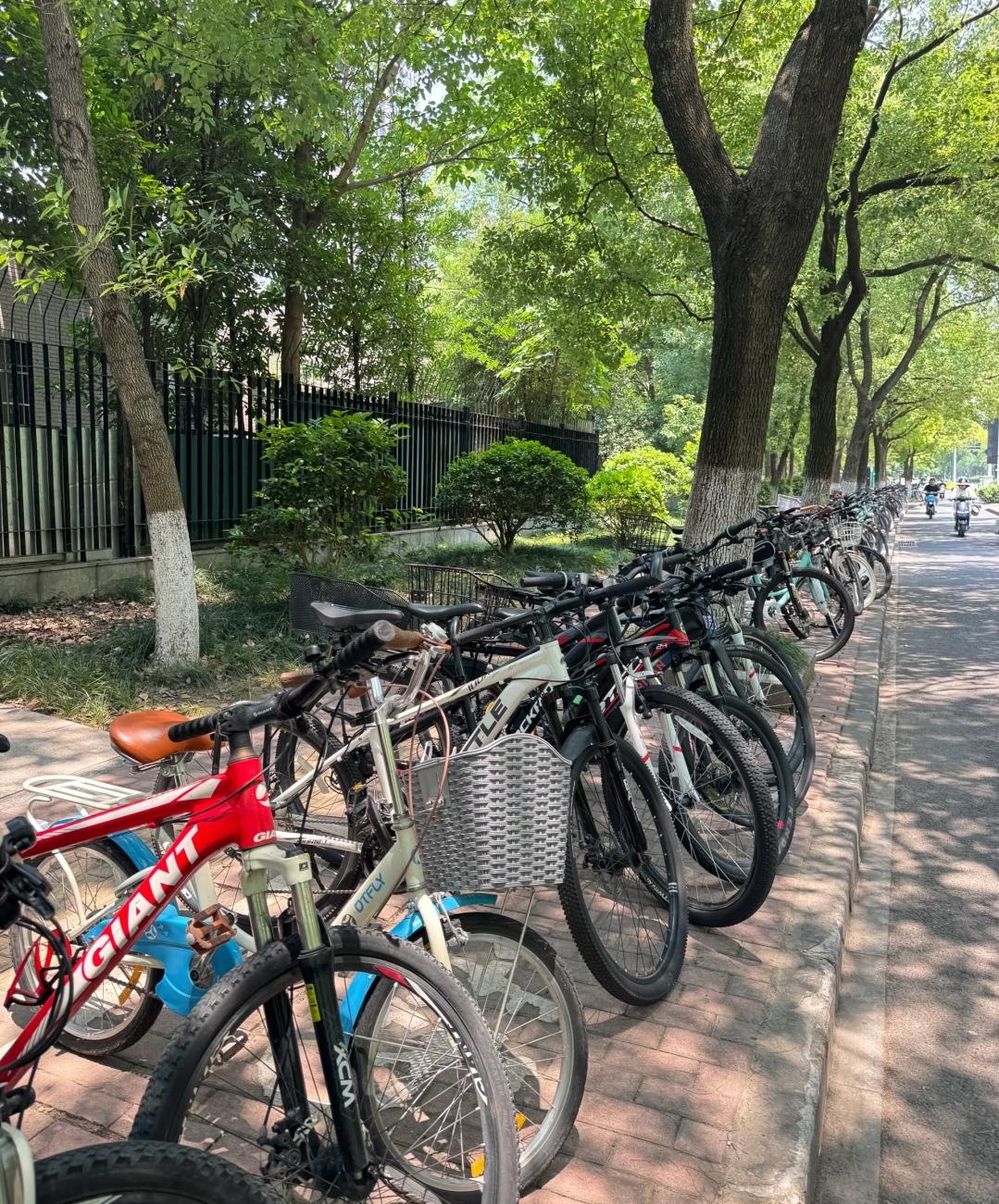 昨天帮儿子发完教辅材料去取车，看见他那辆自行车就敞着放在路边我当时心都揪了