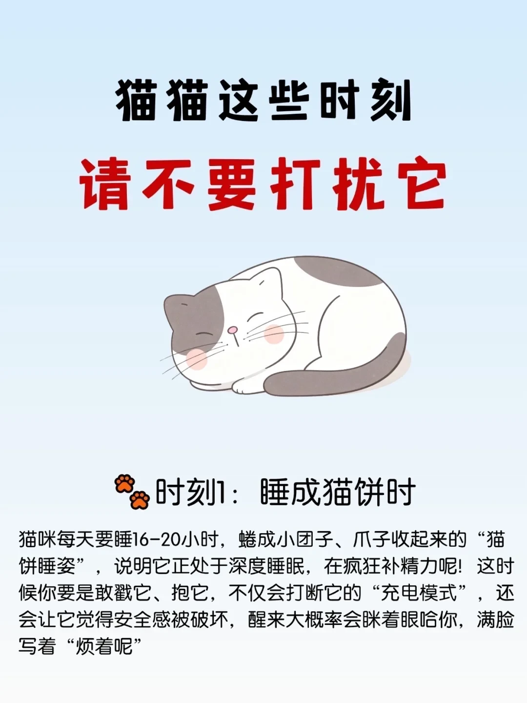 猫猫这些时刻，请不要打扰它