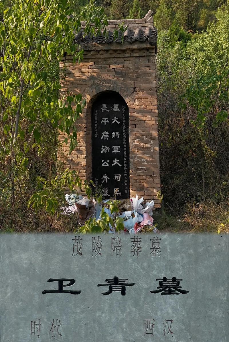 卫青去世汉武帝悲痛，赋谥号、亲选墓地，为啥转眼便灭了卫家满门说起汉武帝和卫青，