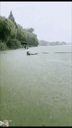 钓鱼佬的江湖人生……[哭哭]