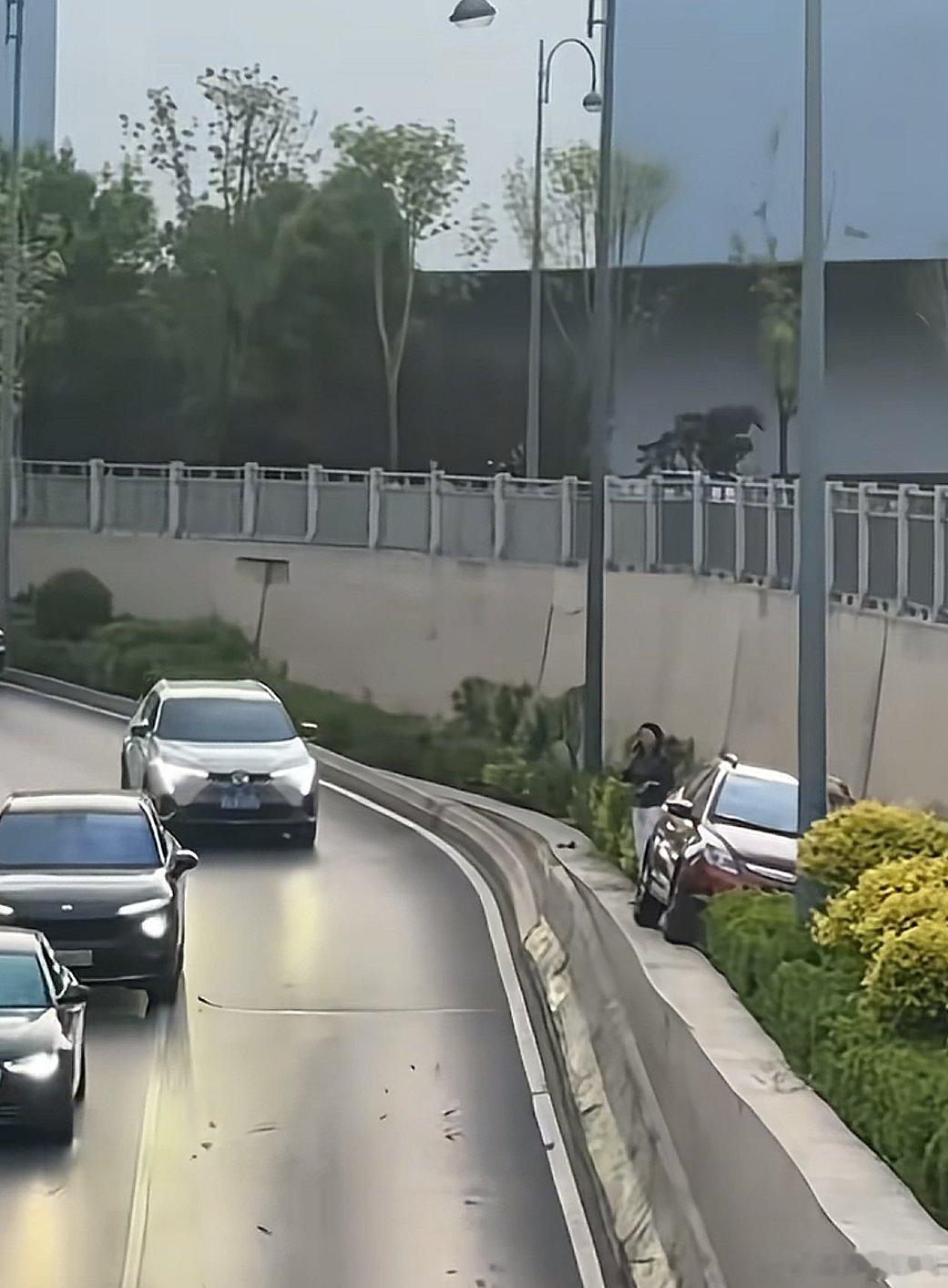 山西太原一辆车直冲绿化带，我好奇的是，这是咋上去的，看图二视角，车子是夹在两个路