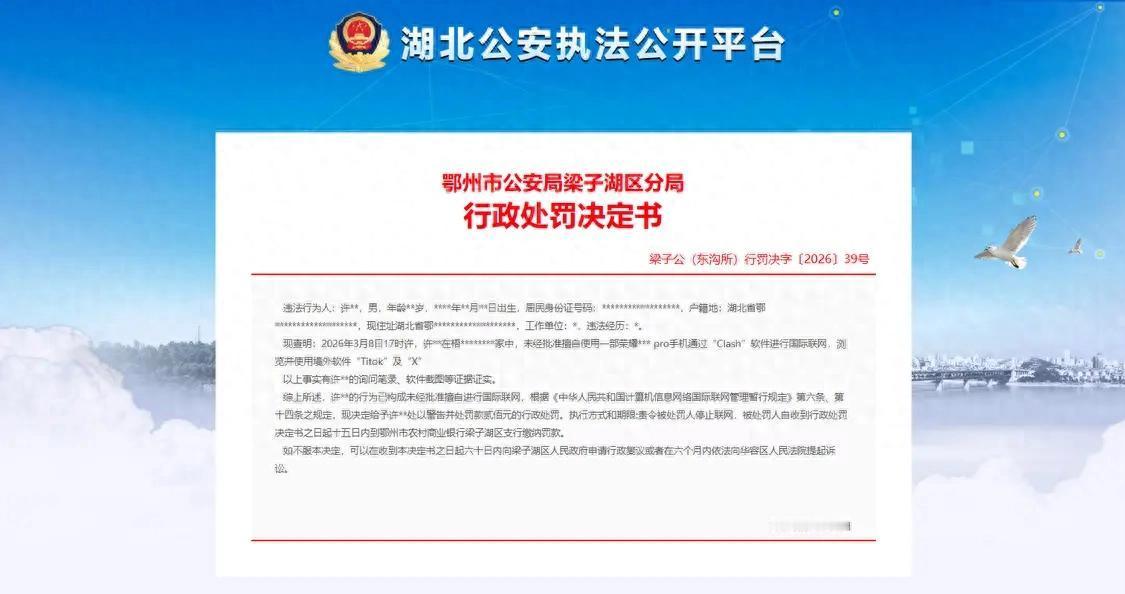 男子擅自浏览并使用境外软件Tiktok及X，被行政处罚凤凰网资讯/湖北公