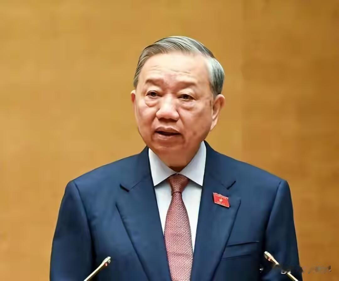 4月14号，越南主席苏林应邀来中国访问，飞机一落地北京，没去人民大会堂，没见中方