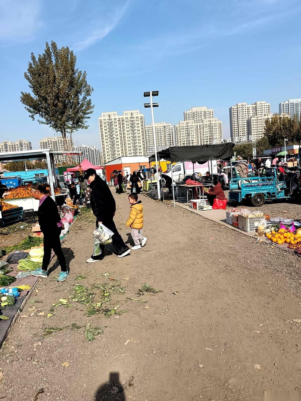 白菜一块三一斤。看到这个数字，我愣了三秒。我楼下便利店买瓶矿泉水，都不止这个