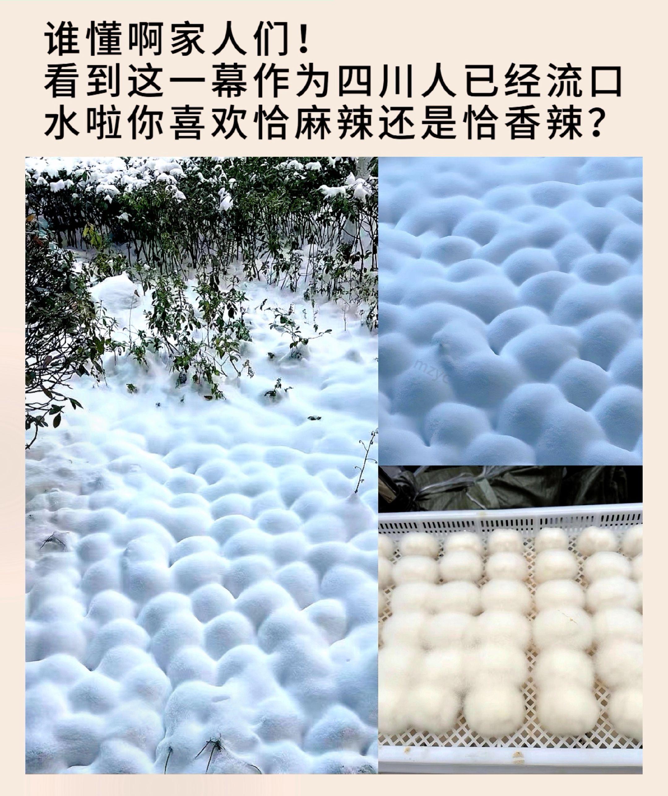 在北方四川人走到哪 口水留到哪