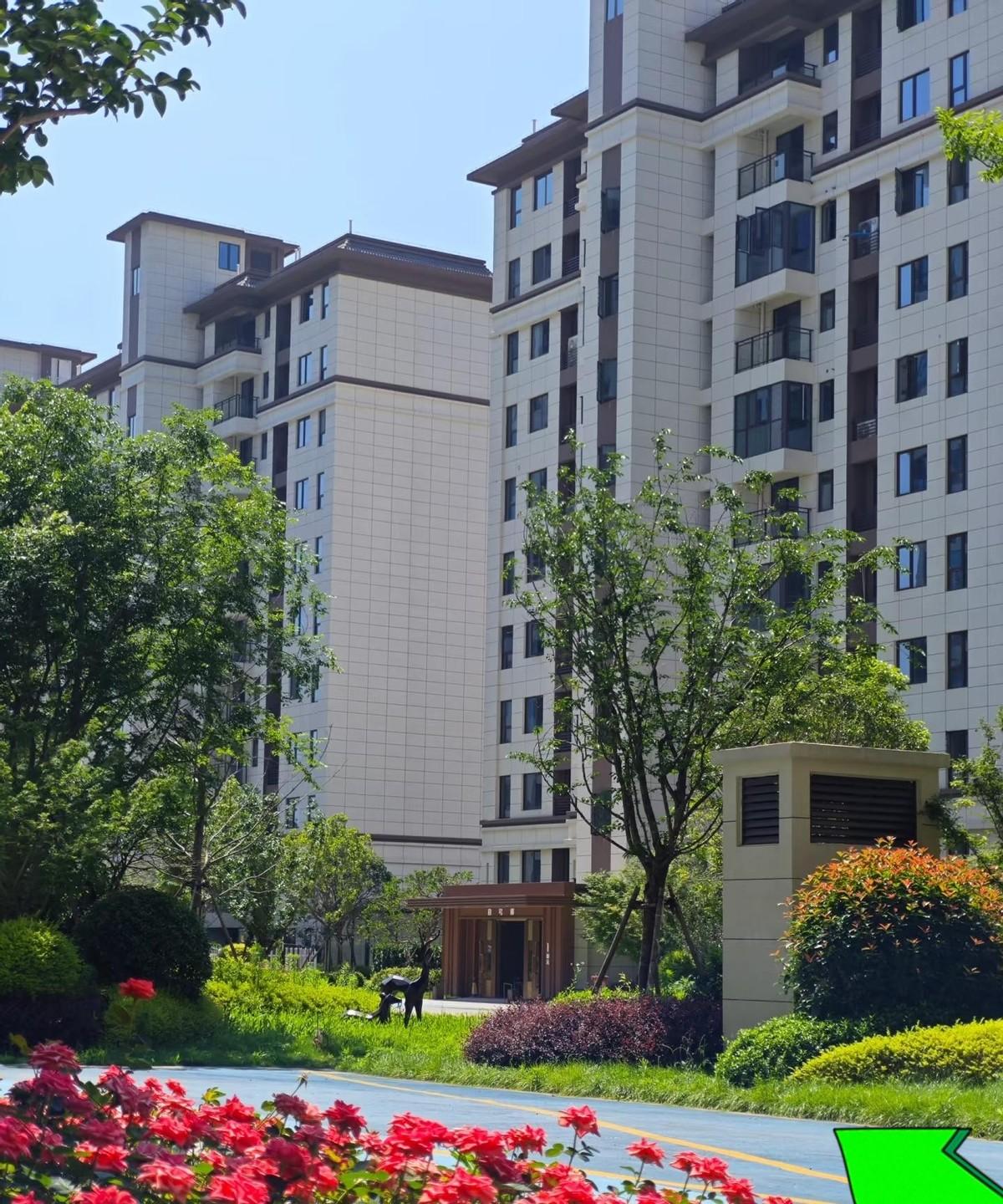 我姐去年咬牙掏65万买了套毛坯，想着慢慢装，结果今天刷到同栋五楼110平精装才挂