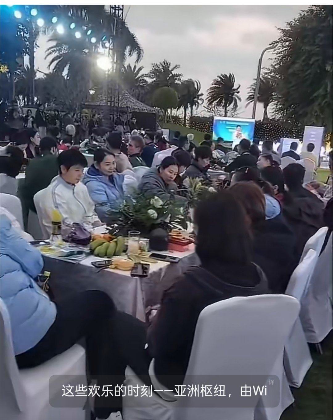 星光璀璨！国乒全员亮相海南亚洲杯晚宴，烟火共庆新春海南亚洲杯晚宴聚会在海南举办