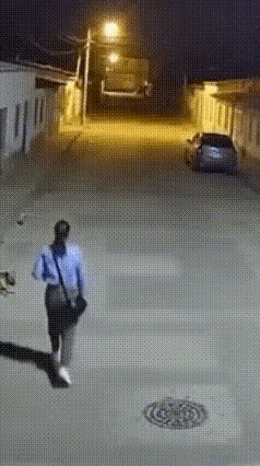 没看明白，不知道他为什么要跑。