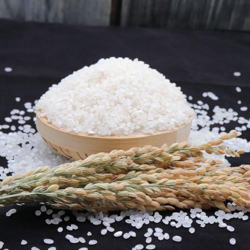 你知道吗？咱们每天吃的主食里，每五碗饭就有一碗来自东北黑土地。这片肥沃的土地