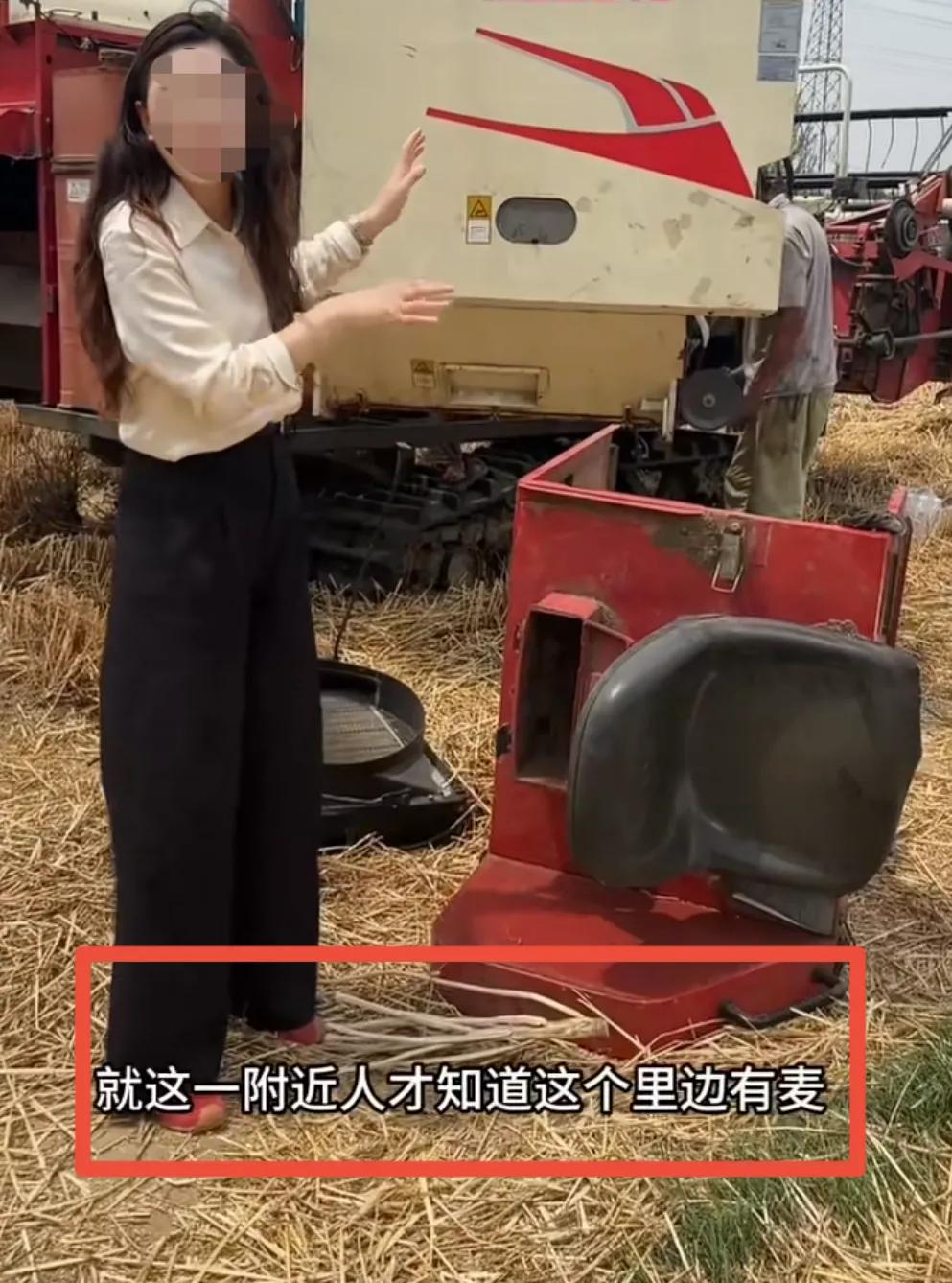坏透了！前几天新闻报道河北临漳有人偷偷在人家麦地里放尖锐钢筋，已经够缺德了，没想