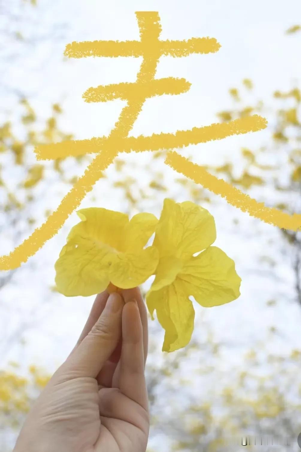 什么是人间清醒1.你穿的好点，再开辆豪车，是不是欺负你的人就少了，所以形象一定