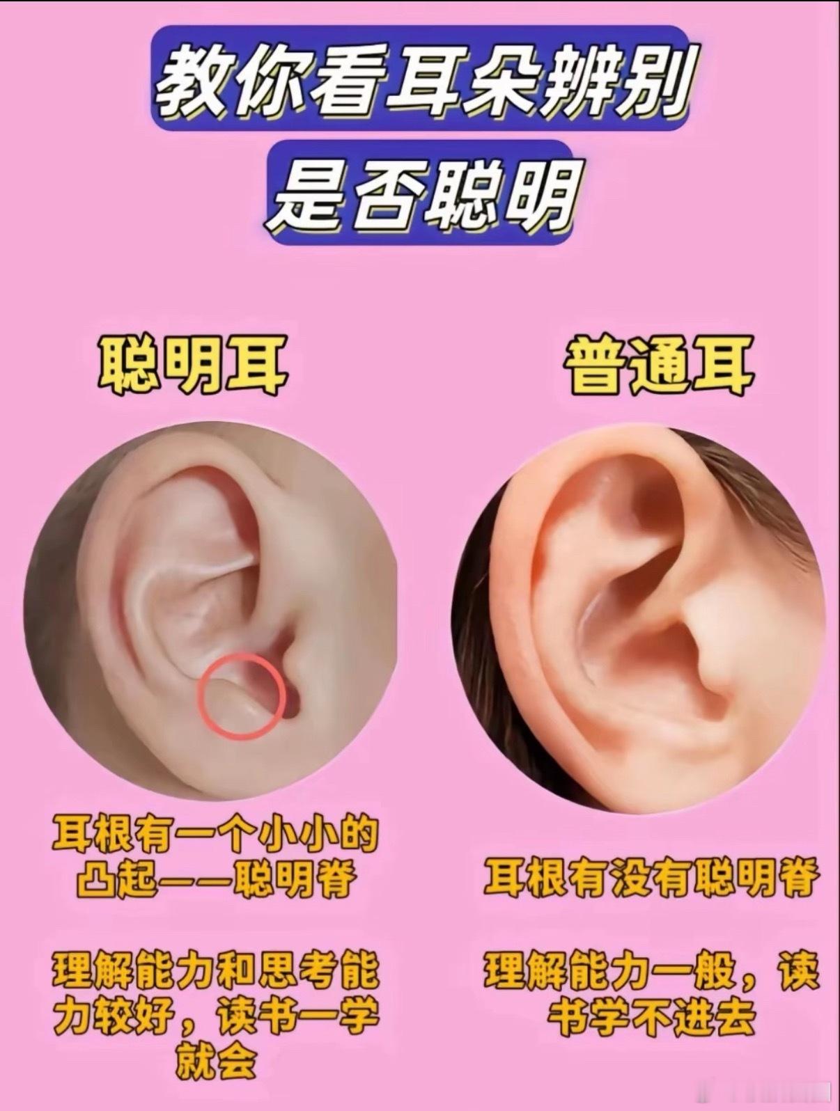 耳朵看出孩子是否聪明