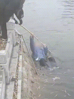 “这不得上人民日报！”河南新乡，7岁小孩在公园河边玩，一不小心掉水里了，孩子妈妈