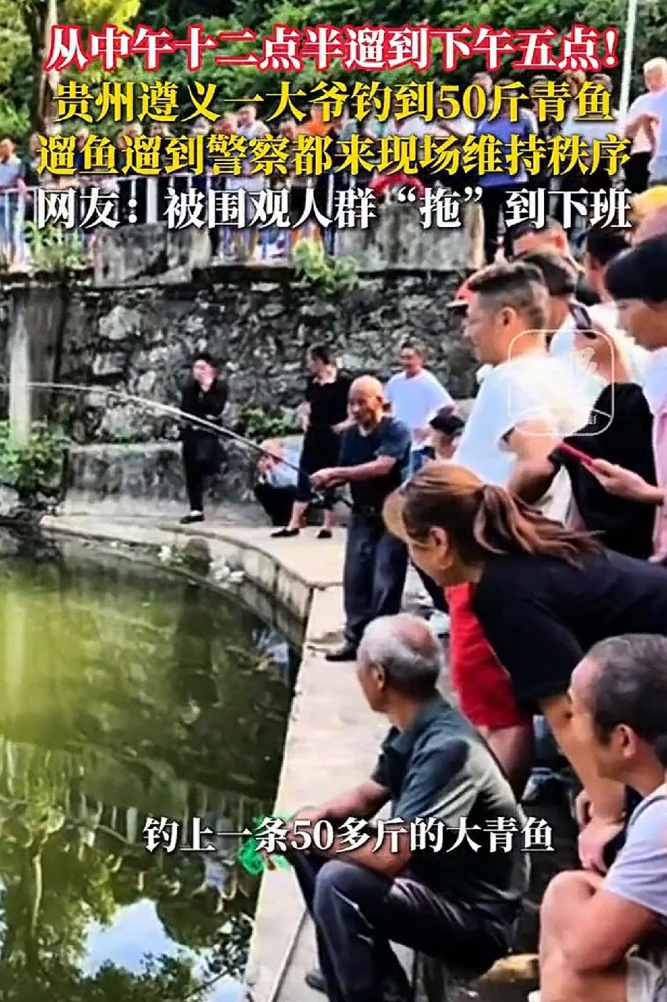 贵州遵义一处小湖泊边，一名大爷在此钓鱼时钓到一条50来斤重的大青鱼，期间更是遛鱼