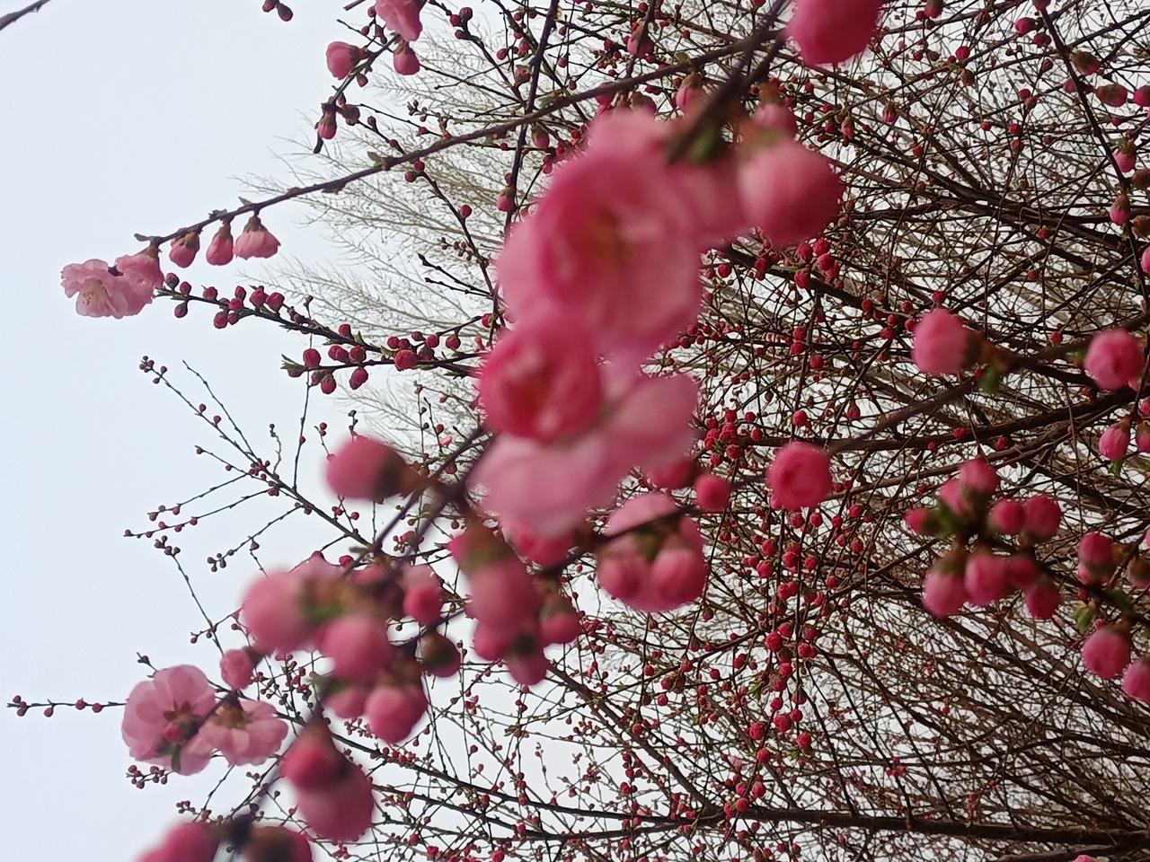 男人工资不上缴给老婆管，说明了什么？婚后媳妇说让我工资卡上交，我也没多想，