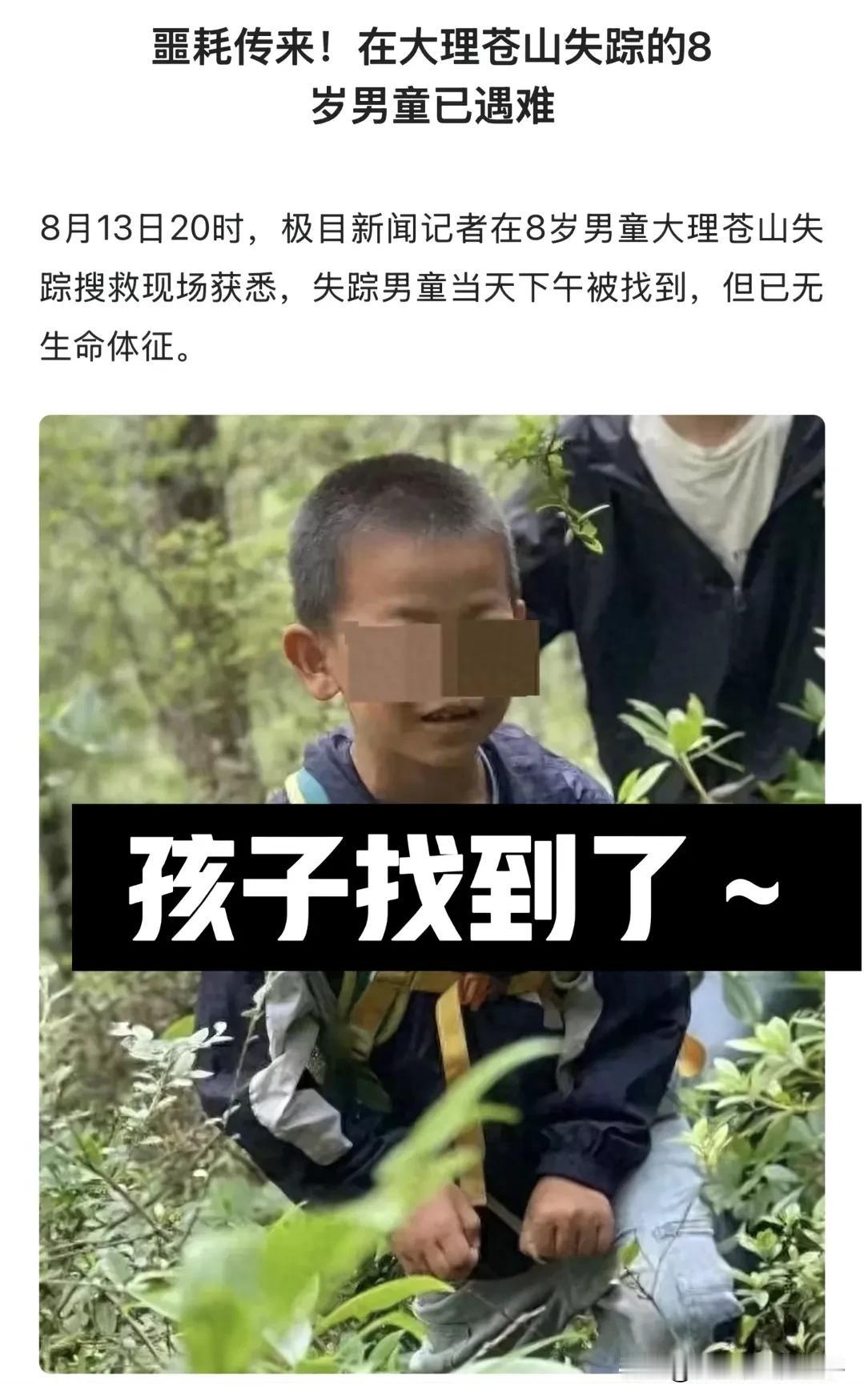 大理走丢的自闭症男孩找到了！但是很可惜，已经没有生命体征，这几天苍山都在下雨