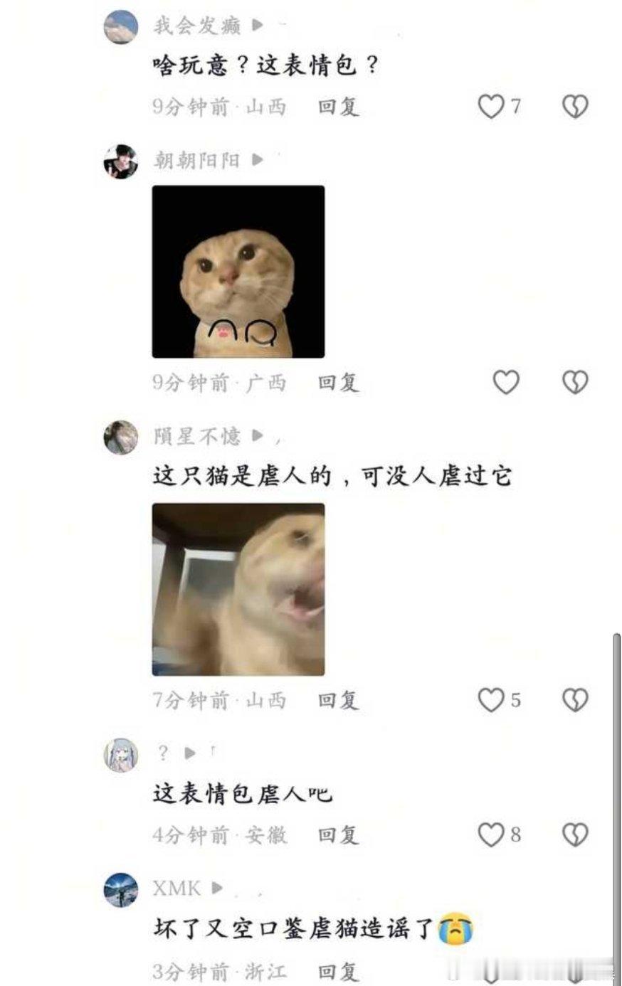 又在猫虐人了