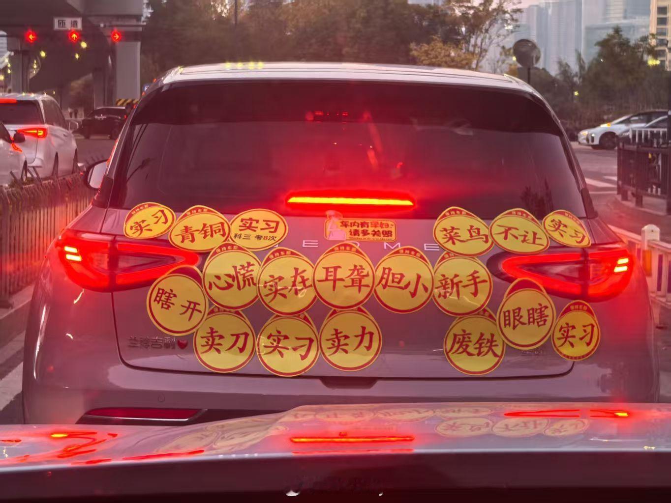 咱就是说，这个水平要不就别开车了行不？