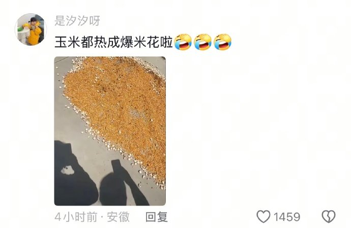 笑死我了，哈哈