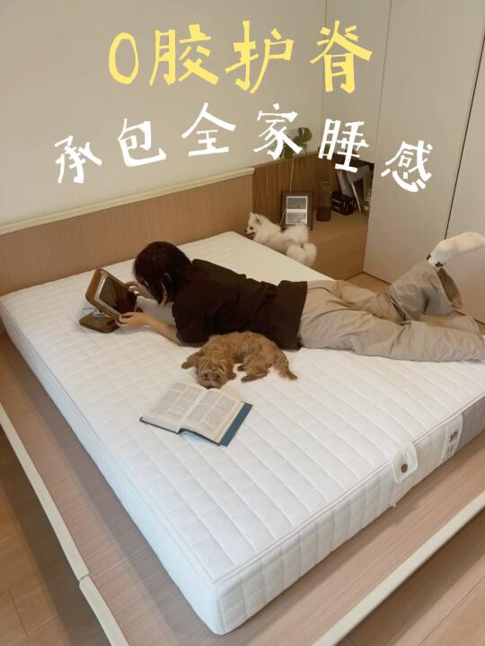 全家人都满意的床垫，长什么样？
