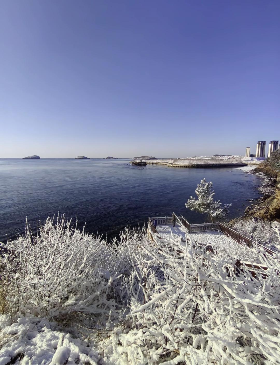 这样看来大连、烟台、威海、青岛应该算是最幸福的城市。因为南方人普遍对雪充满执念，