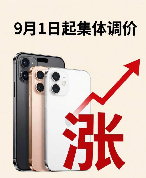 这轮手机涨价，我觉得最后就两种结果。一种是，价格涨上去了，消费者却不买账。本