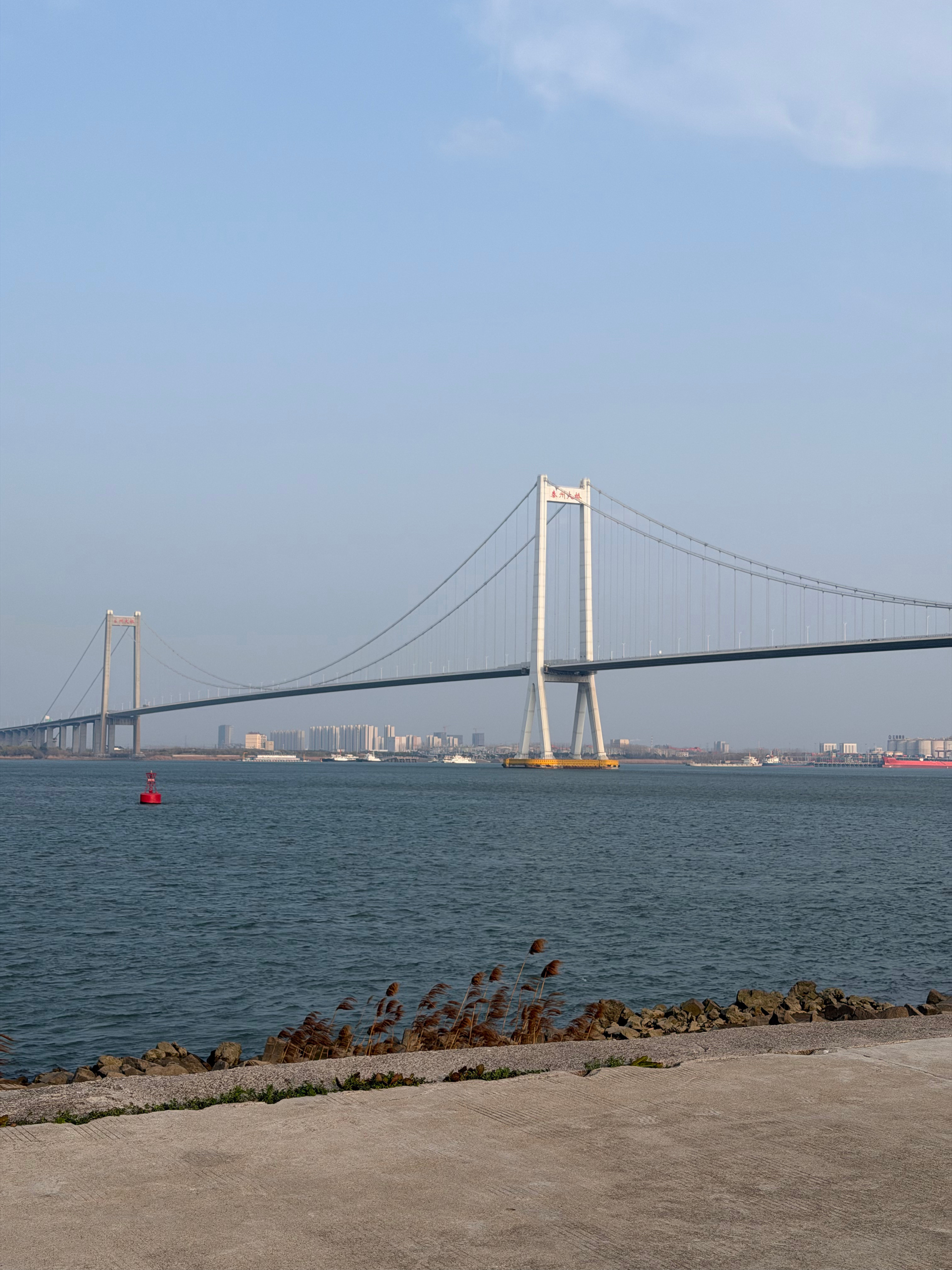 天气真好，来江边遛娃。被江风吹傻了