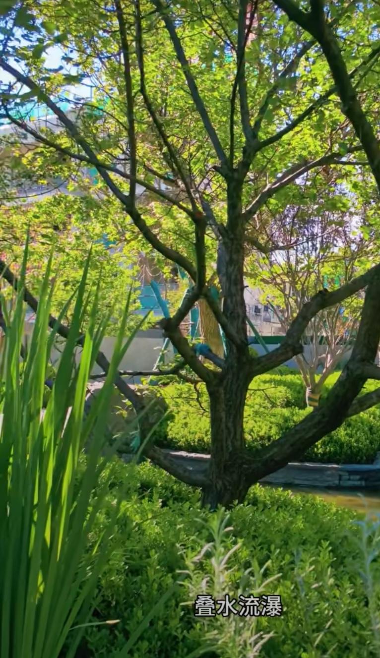 开工第一天！北京二手房市场以“三升一降”拉开序幕！春节小长假结束！归家团